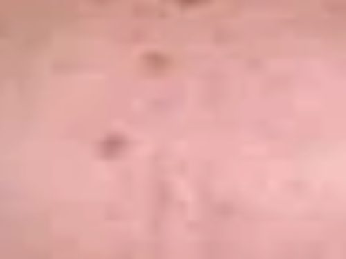 Out-of-focus pink background with dots